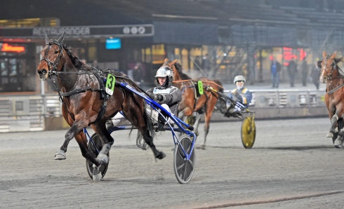 Hail Mary utklassade motstndet när han tog sin femte raka seger i Umeå (arkivbild). Foto av Lars Jakobsson/TR Bild